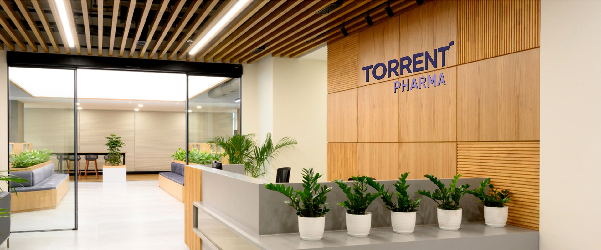 MeroKraft, Torrent Pharma